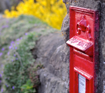 Contact Information