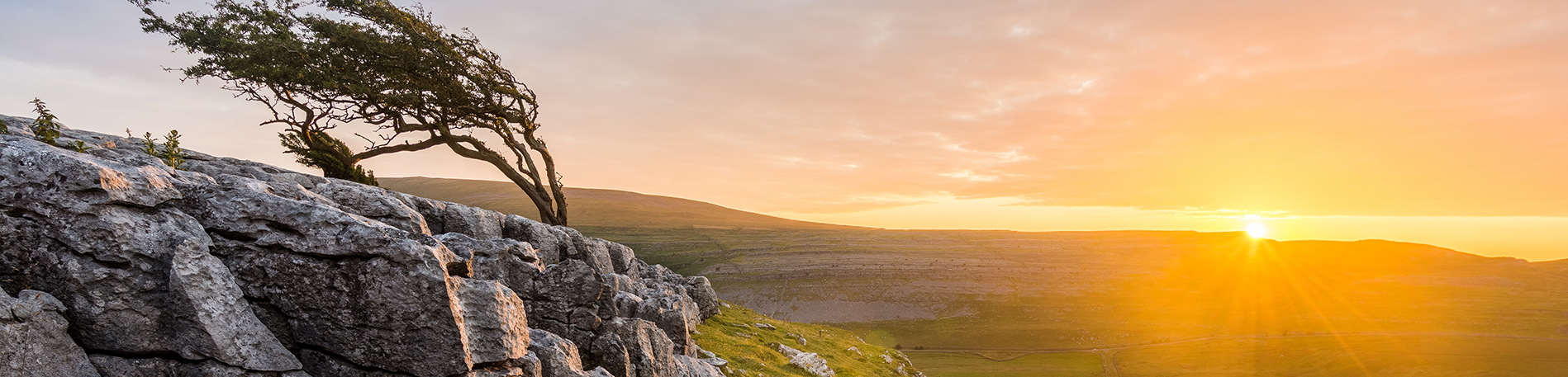 Yorkshire Life Market Review